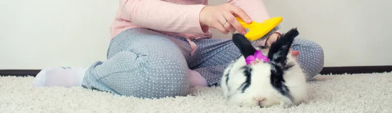 Dětské ruky hřejí králíka s dlouhým srstí na podlaze.