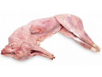 Celý králík domácí bez kůže na bílém pozadí.