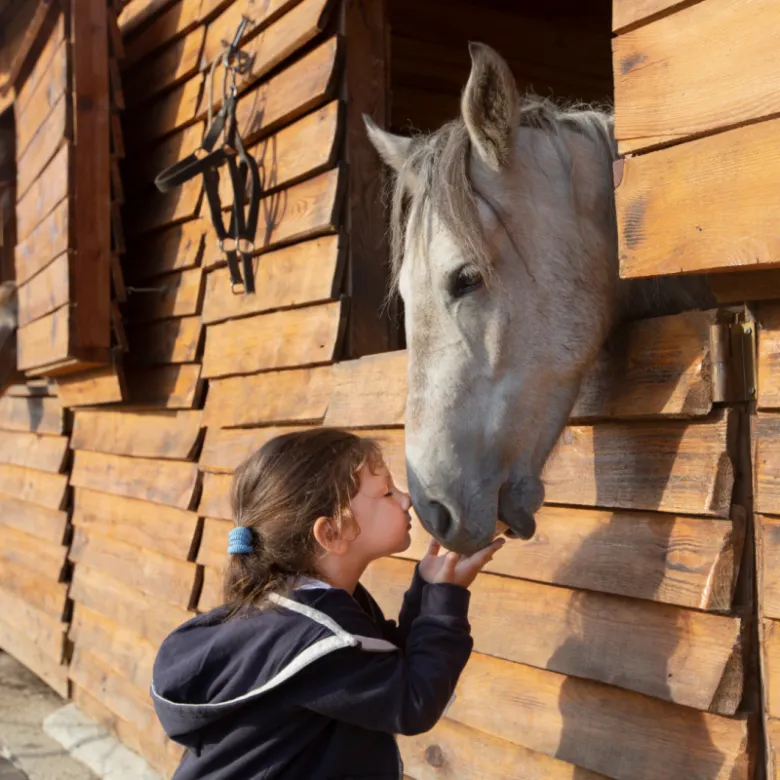 Dívka líbá nosovi šedého koně v stájovém boxu.