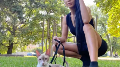 Žena s kočkou na vodítku v parcích