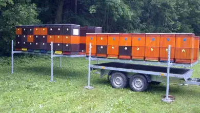 Včelí úly na přívěsu pro bezpečnou přepravu při stěhování.