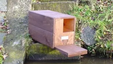 Dřevěné hnízdo pro kachny umístěné u vody.