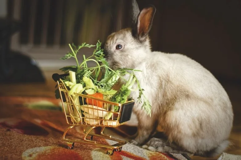 Králík sedí vedle košíku plného zeleniny.