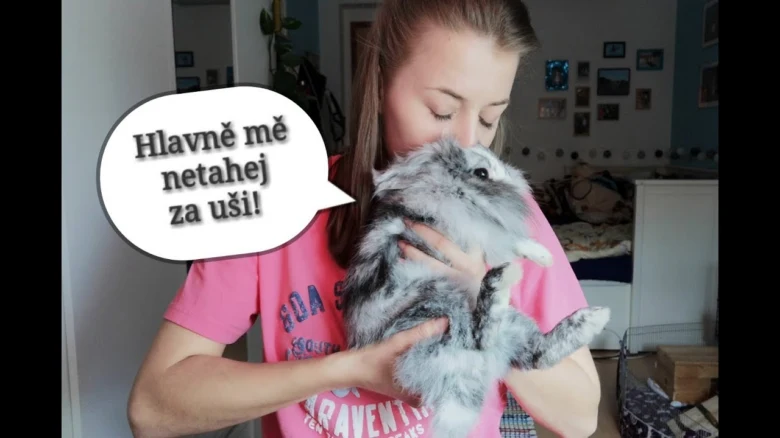 Dívka drží králíčka v náručí doma.