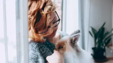 Žena drží králíka u tváře, ilustruje blízkost mezi člověkem a zvířetem.