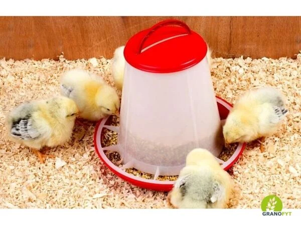Chicks feeding from feeder