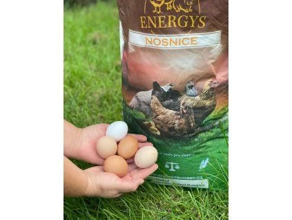 Ruce s vejci vedle pytle krmiva pro nosnice Energys