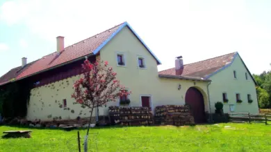 Farma s ovčínem před žlutou stodolou na zelené trávě.