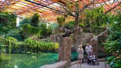 Rodina navštíví vnitřní akvárium s vodopádem a tropickou vegetací.
