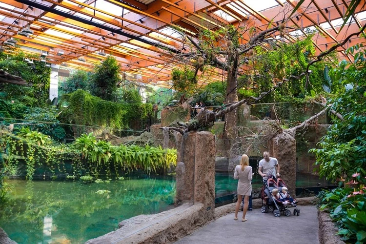 Rodina navštíví vnitřní akvárium s vodopádem a tropickou vegetací.