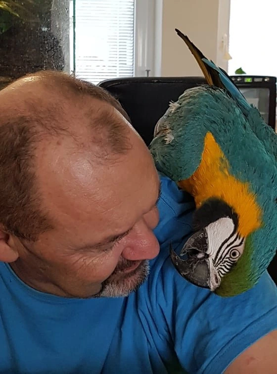 Muž s modro-žlutým papouškem na rameni u okna.