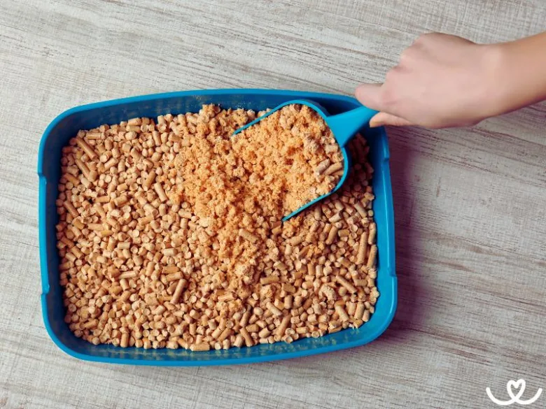 Ruka s lopatkou přisypává koťací písek v lůžku.