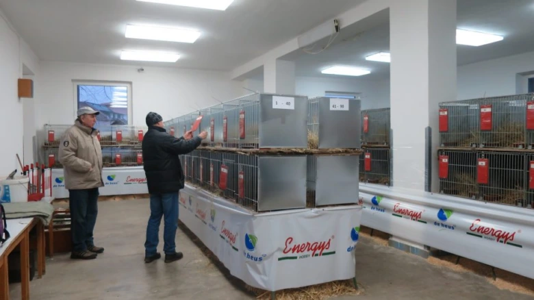 Rabbit breeding facility