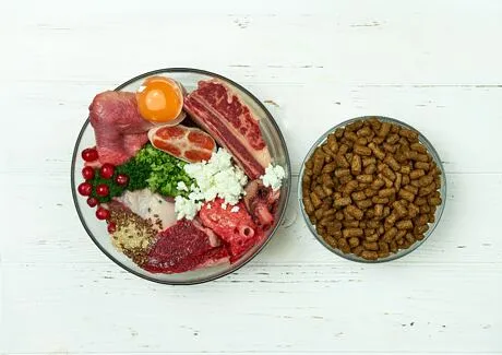 Surovina pro štěně: maso, vejce a zelenina vedle suché stravy.