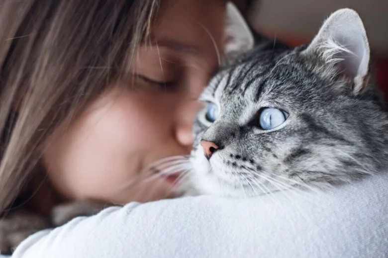 Dívka objímá šedou kočku s modrýma očima.