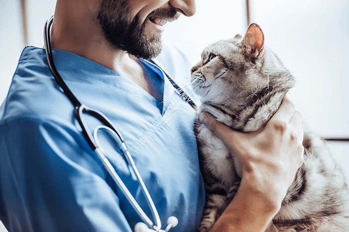 Veterinář drží kočku, ale neukazuje černé skvrny na nose.