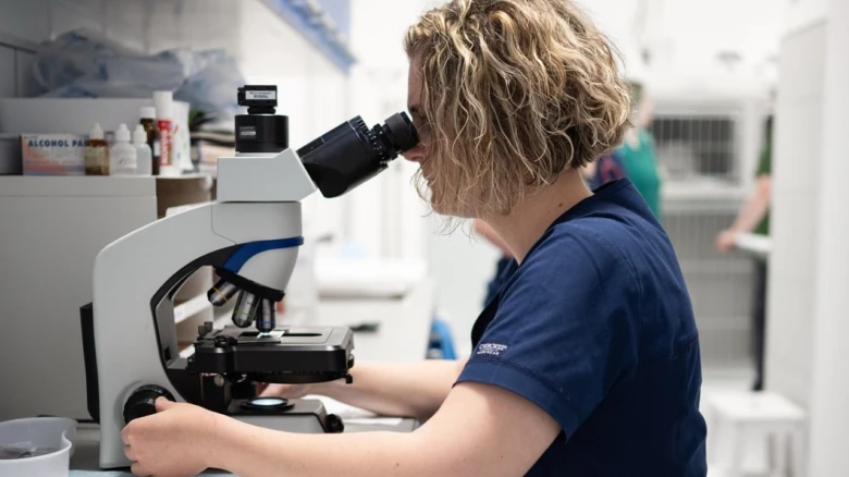 Veterinář zkoumá vzorek pod mikroskopem v laboratoři.