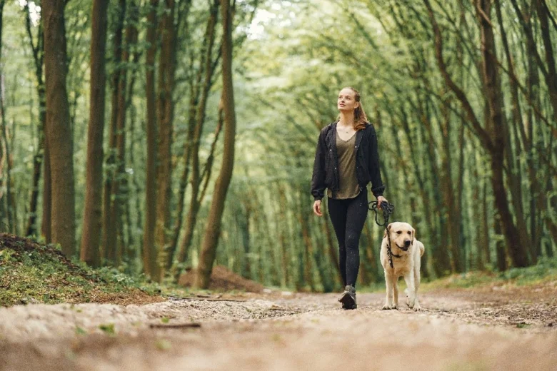 Žena s labradorem chodí po lesní cestě venčit psa.