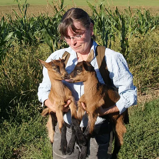 Žena drží dvě mladá kozata v poli mezi kukuřicí.