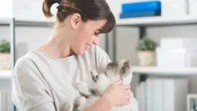 Žena drží v náručí malé koťátko.