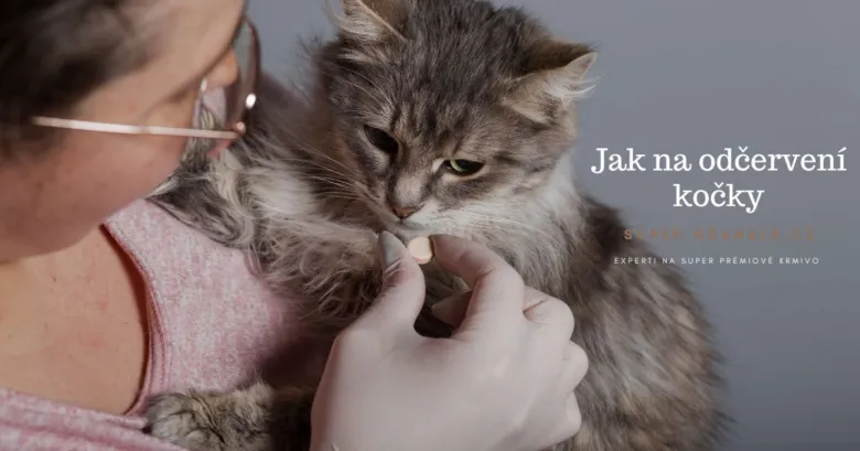 Žena podává kočičce tabletku jako lék proti červům.