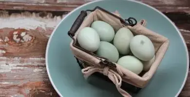 Košík s jasně zelenými vejci na modrém talíři.