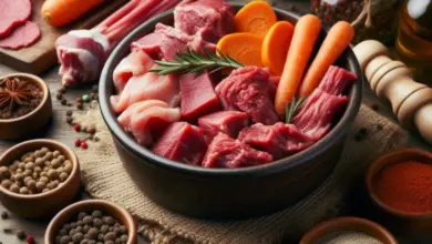 Surové maso a zelenina pro psí stravu